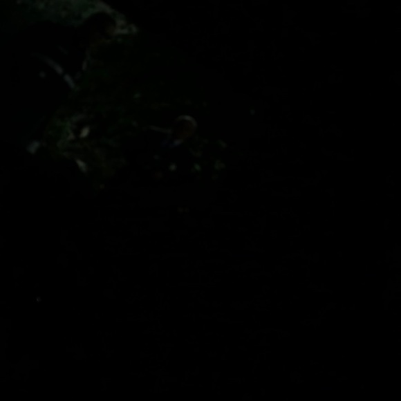 Meet your Posher, Norma - Picture 1 of 1